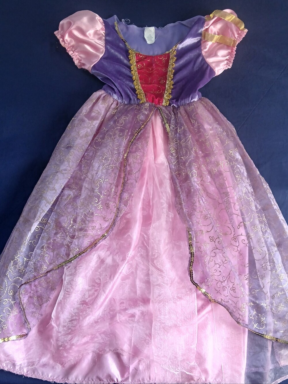 Disney Rapunzel pink & purple princess dress with gold trim and floral embroider